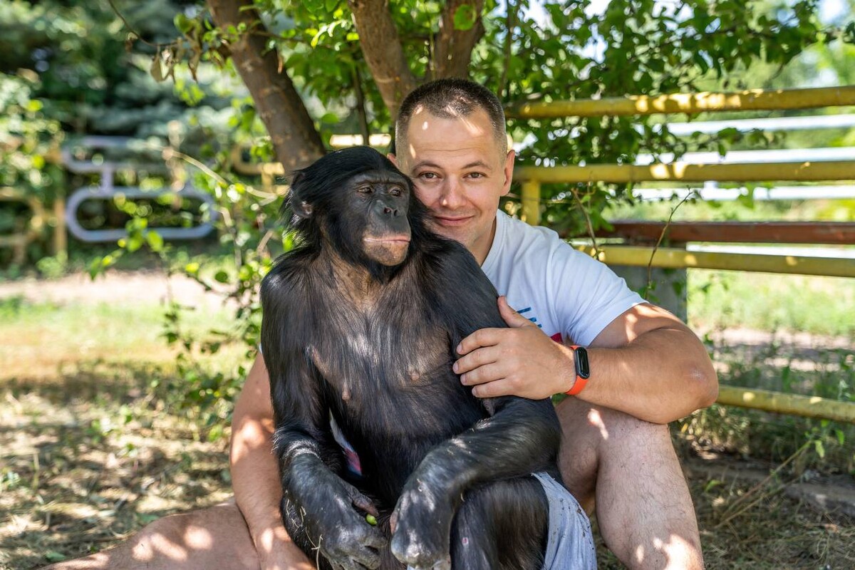 Сбежала обезьяна. Бонобо Боня. Шимпанзе бонобо спариваются. Приматы России.