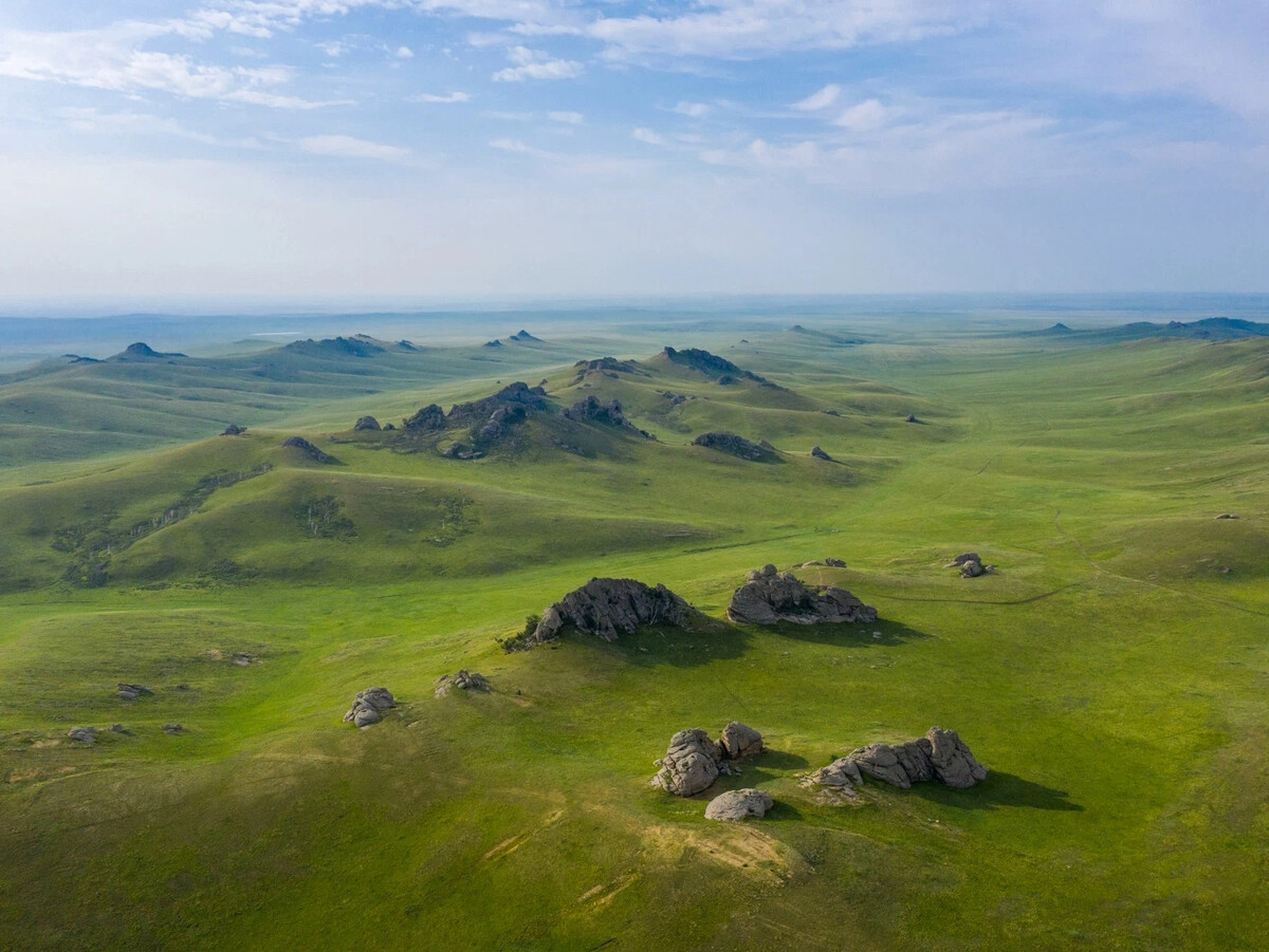 Даурский заповедник Даурский касатики