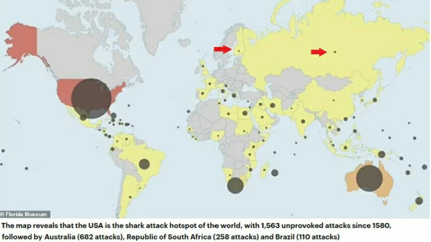 Сколько случаев нападения. Карта нападения акул. Места нападения акул на карте. Карта нападения акул на людей в мире. Карта нападения акул в мире.