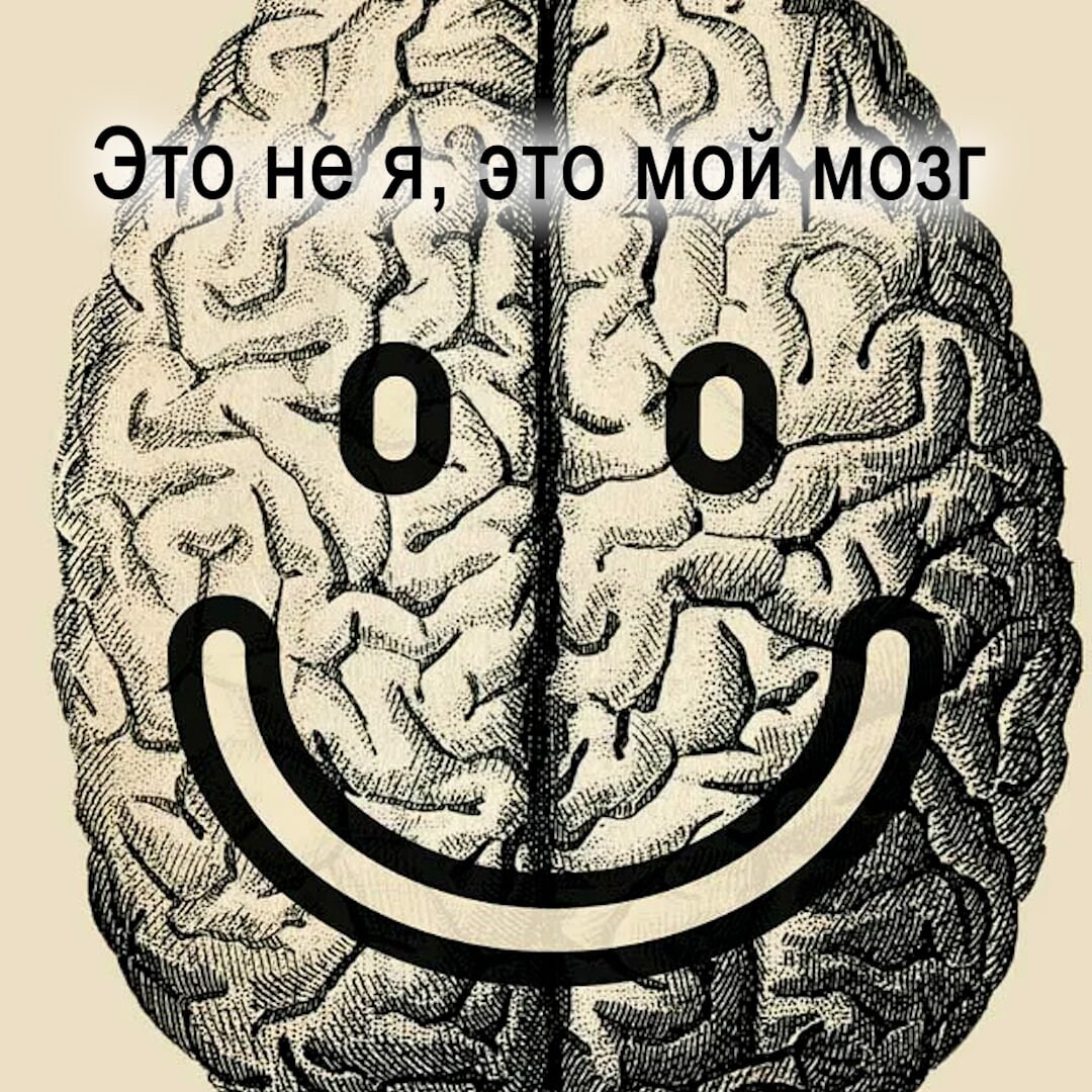 M brain. Мозг принимает решение за 30 секунд до того как человек его осознает.