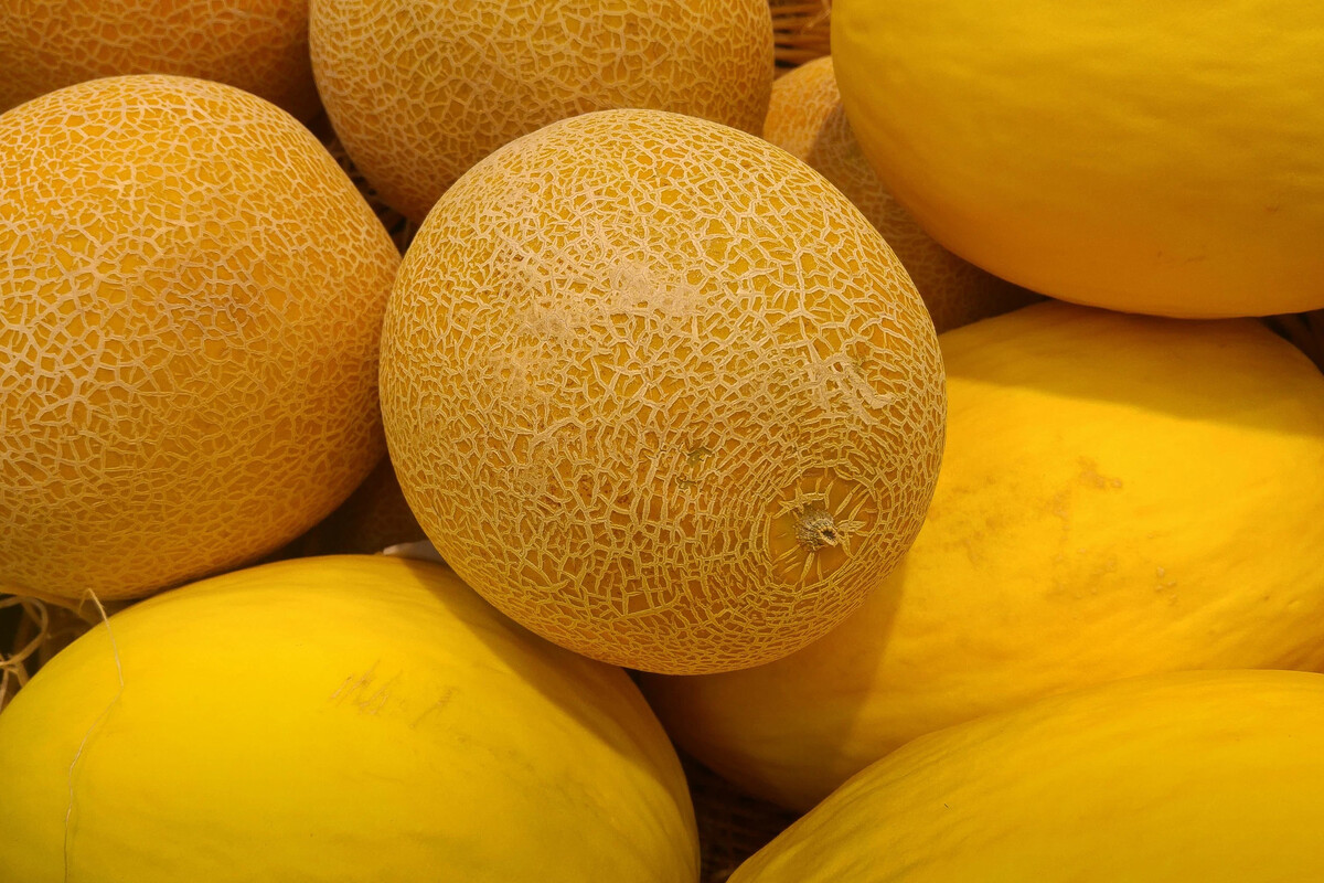 Канталупа (тайская дыня) 1 кг. Дыня мирелла f1. Дынно-желтый (melon yellow). Дыня f1 канталупа. Дыня это что.