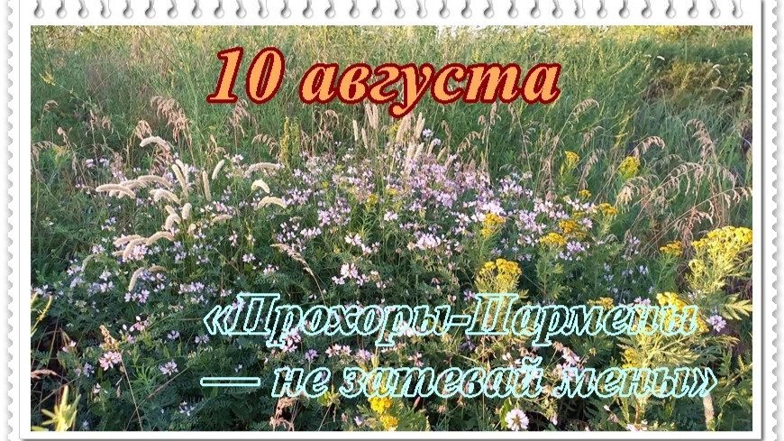 10 avgust. Народные приметы на 10 августа. Хорошего летнего августовского дня. Август лето и здоровьем.