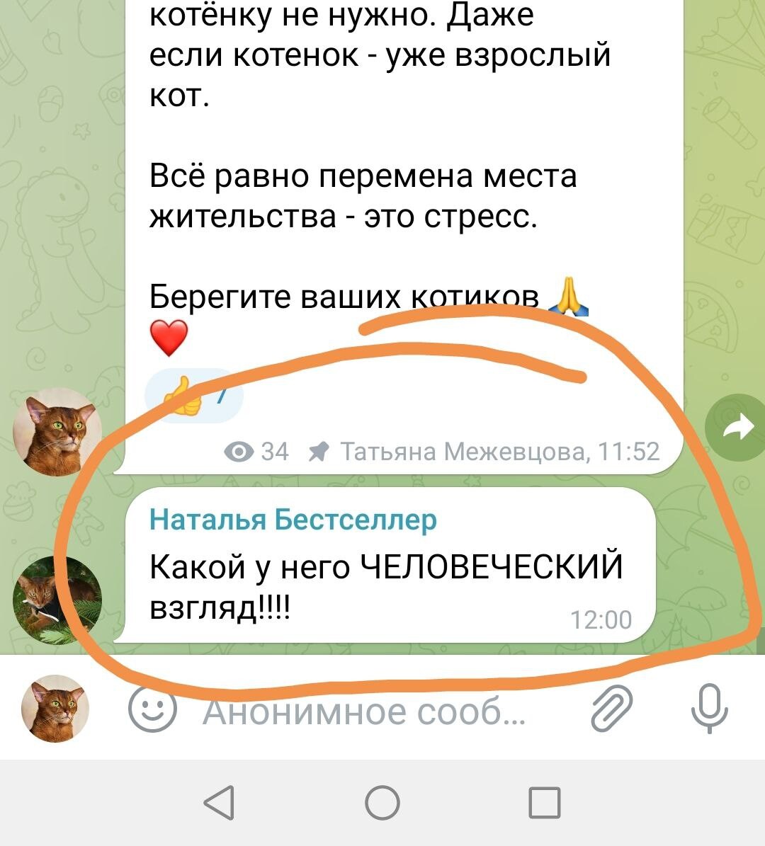 Почему не видно комментарии в телеграмме. Как делать посты в телеграмме с комментариями. как удалить комментарий в телеграмме под постом. как сделать комментарии в группе в телеграмме.
