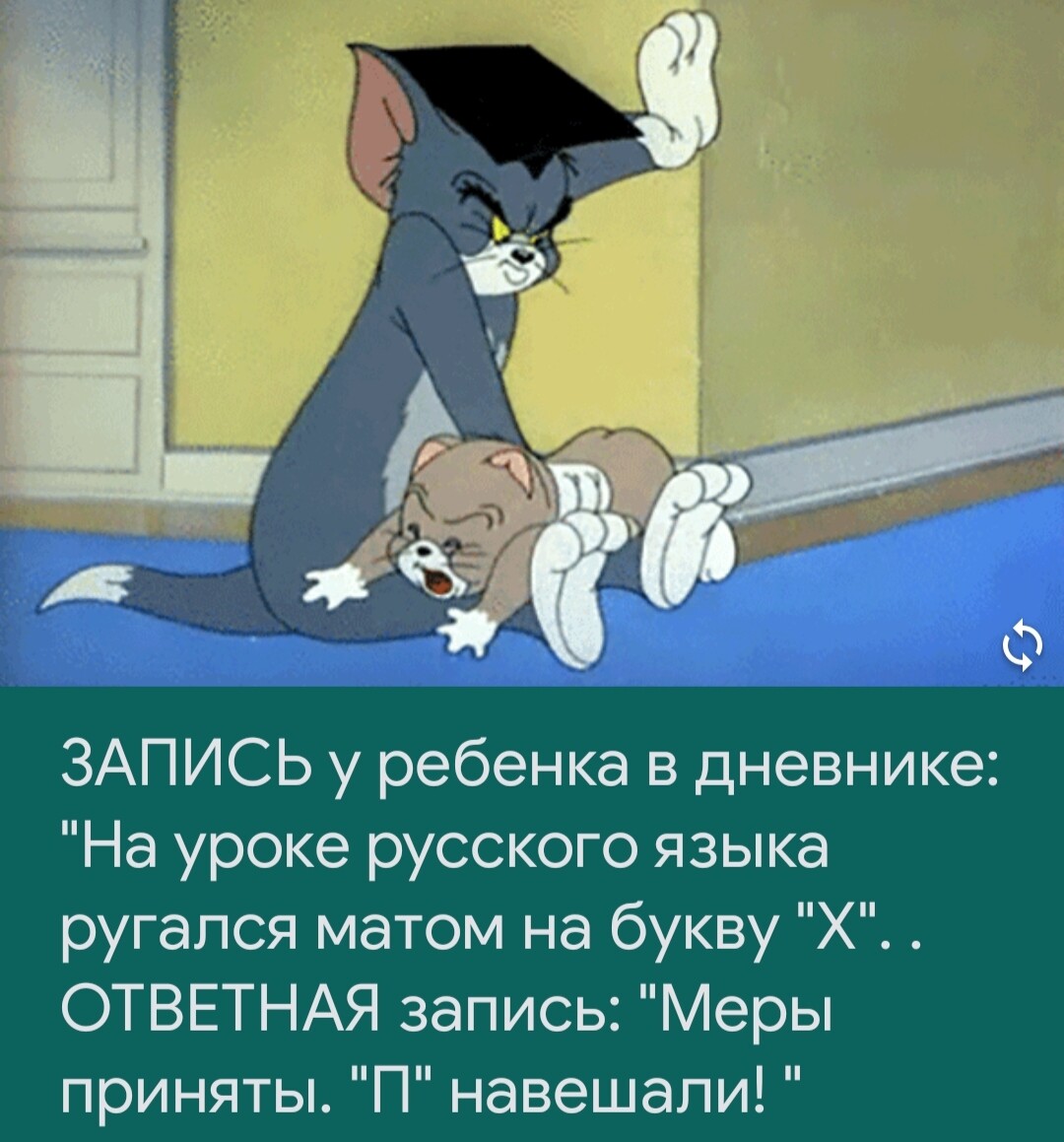 Хомяк Изи изи 