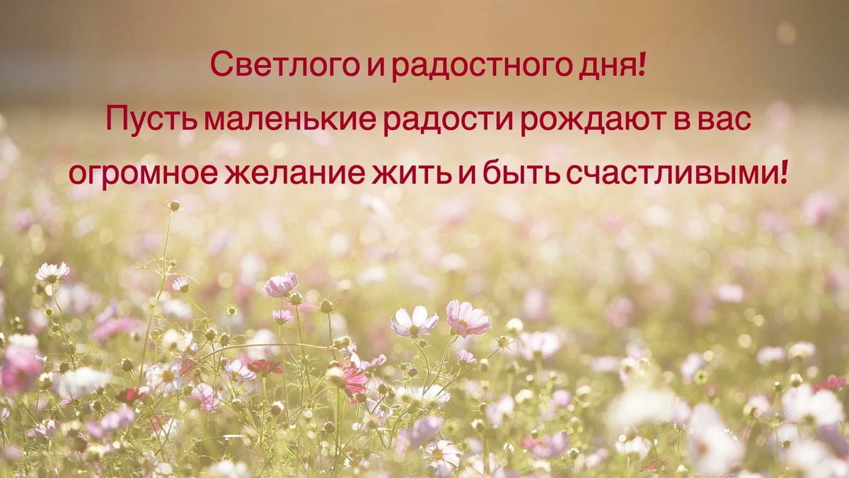 Маленькие радости рождают огромное. Маленькие радости рождают огромное. Маленькие радости высказывания. Детские фоны для девочек. Красивые обои на телефон.