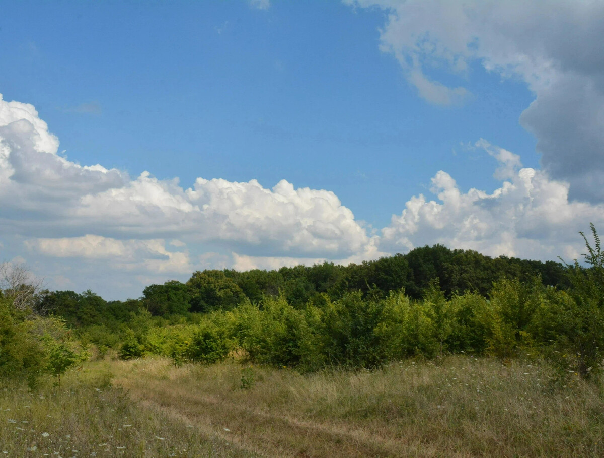 Краснодарский край село киевская погода. Крым и Краснодарский край. Погода Киевское Крымский район. 100 Лет Крымскому району.