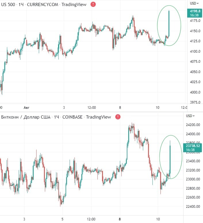 Аренда авто криптовалюта дзен. Auto криптовалюта обзор. Аренда авто криптовалюта дзен. Логотип renbtc. Аренда авто криптовалюта дзен.