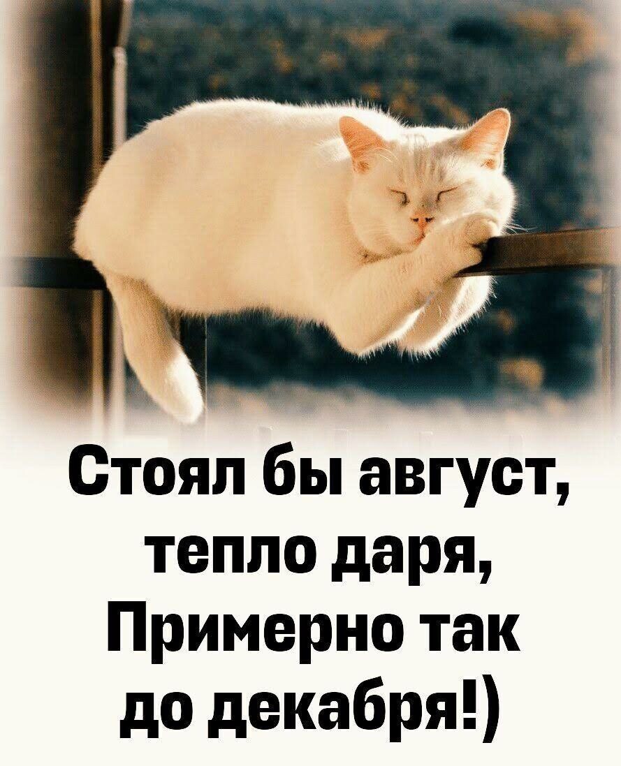 Скоро будет тепло картинки прикольные