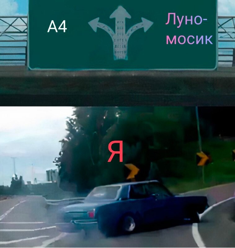 Карта где живет луномосик