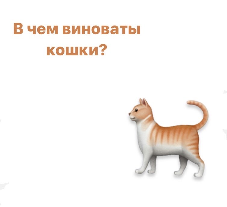 Виноваты кошки. Кошачьих грамота Министерство кошачьих дел