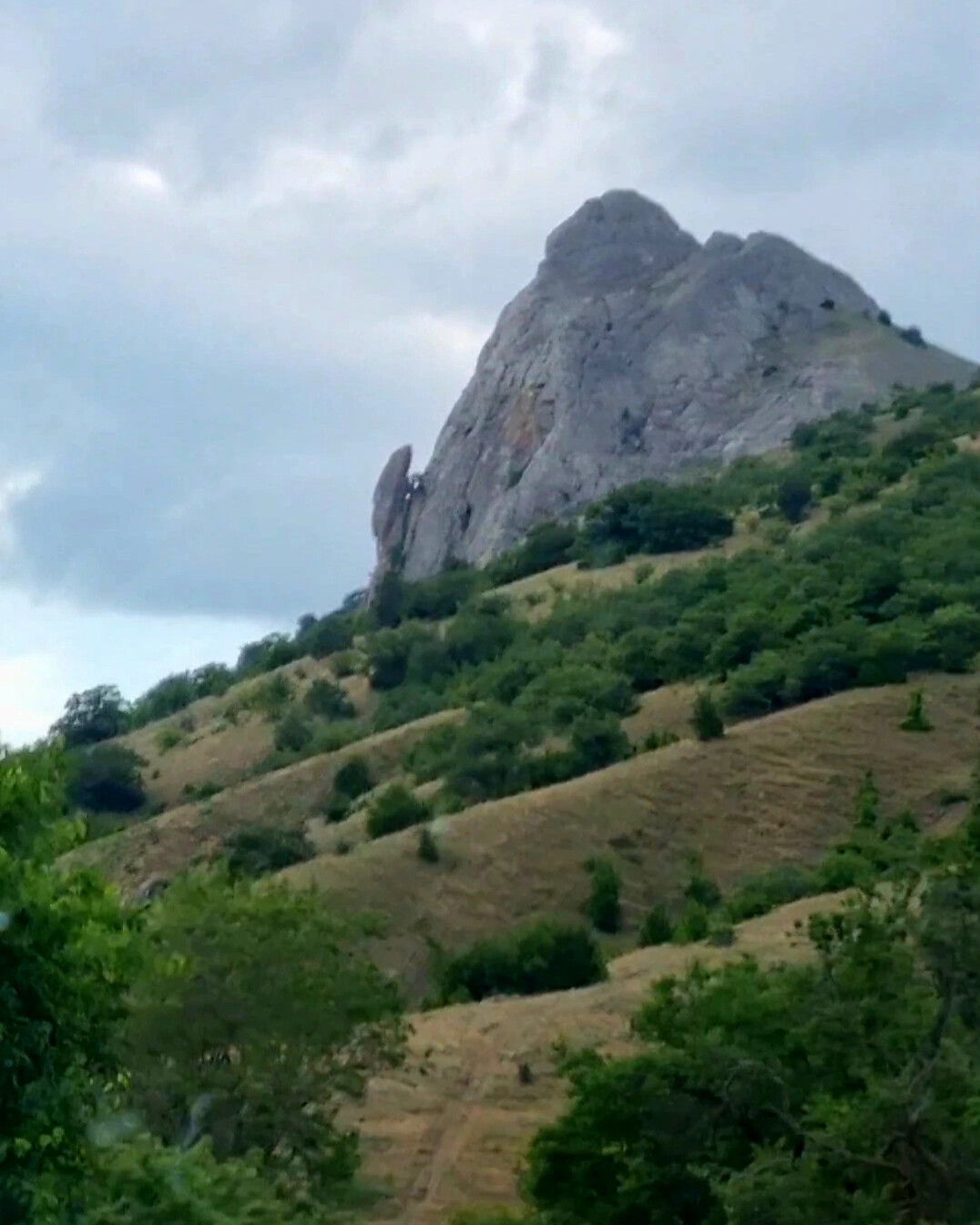 Гора лягушка судак