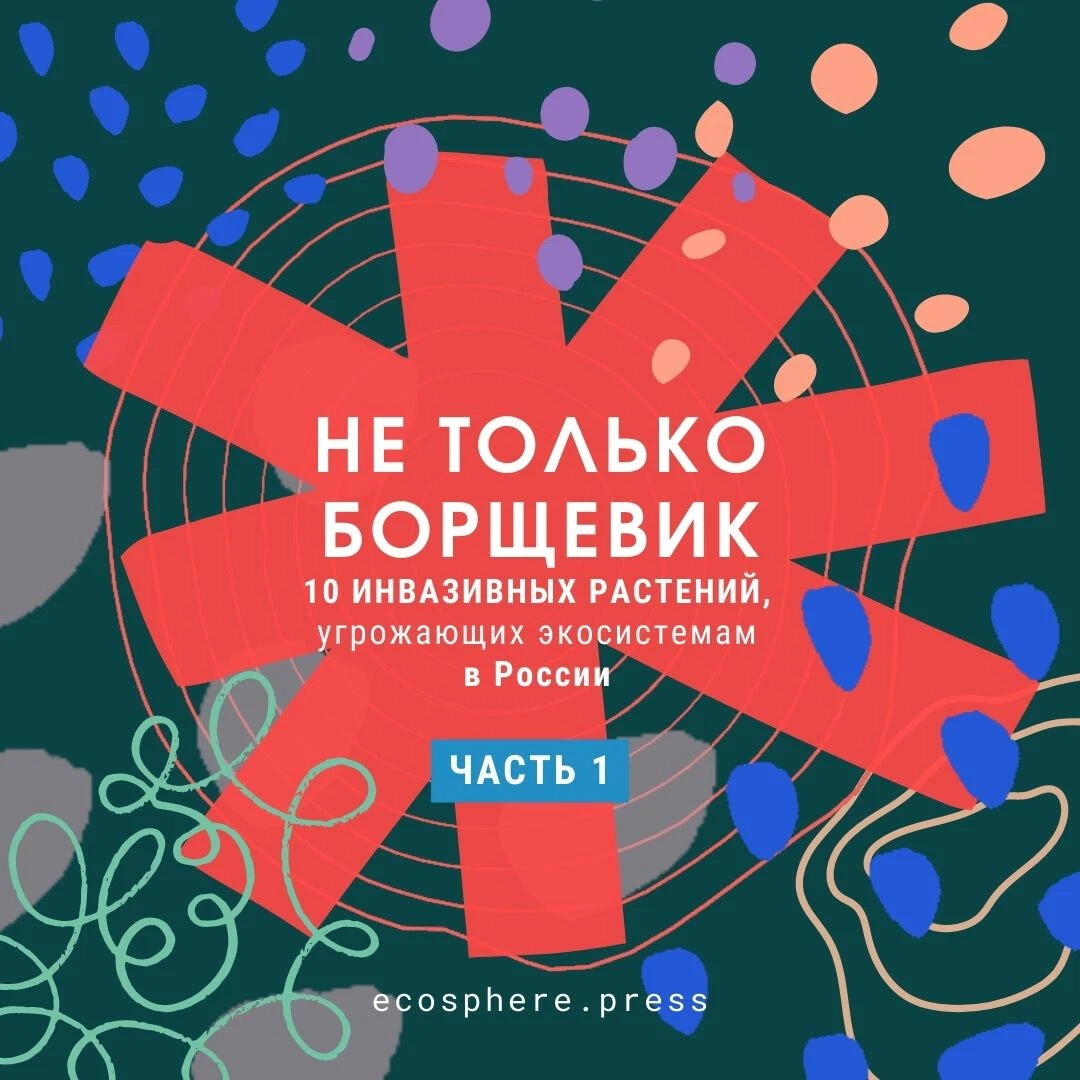 Инвазивных видов очень много и некоторые из них приносят не меньше ...