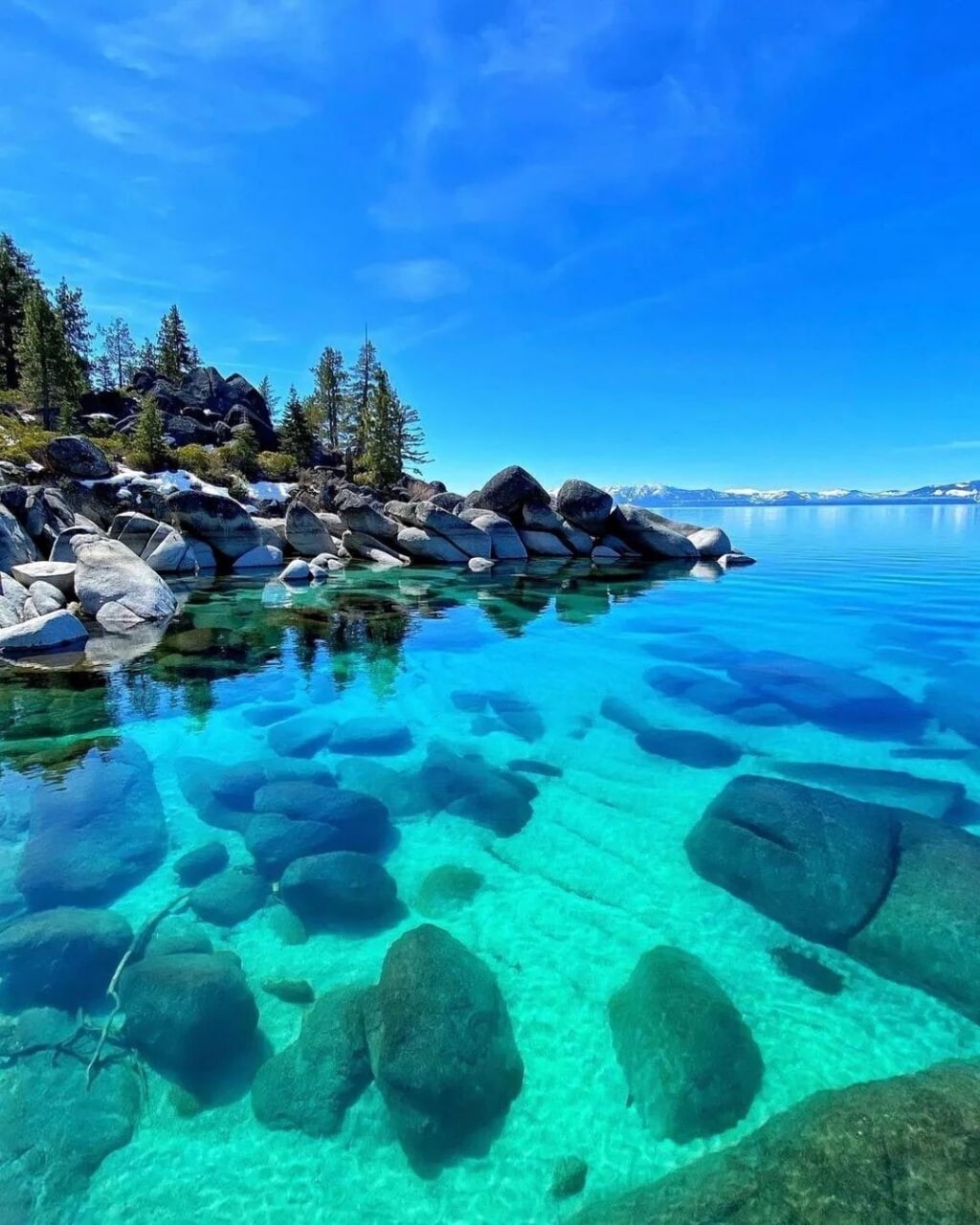 Adidas Lake Tahoe