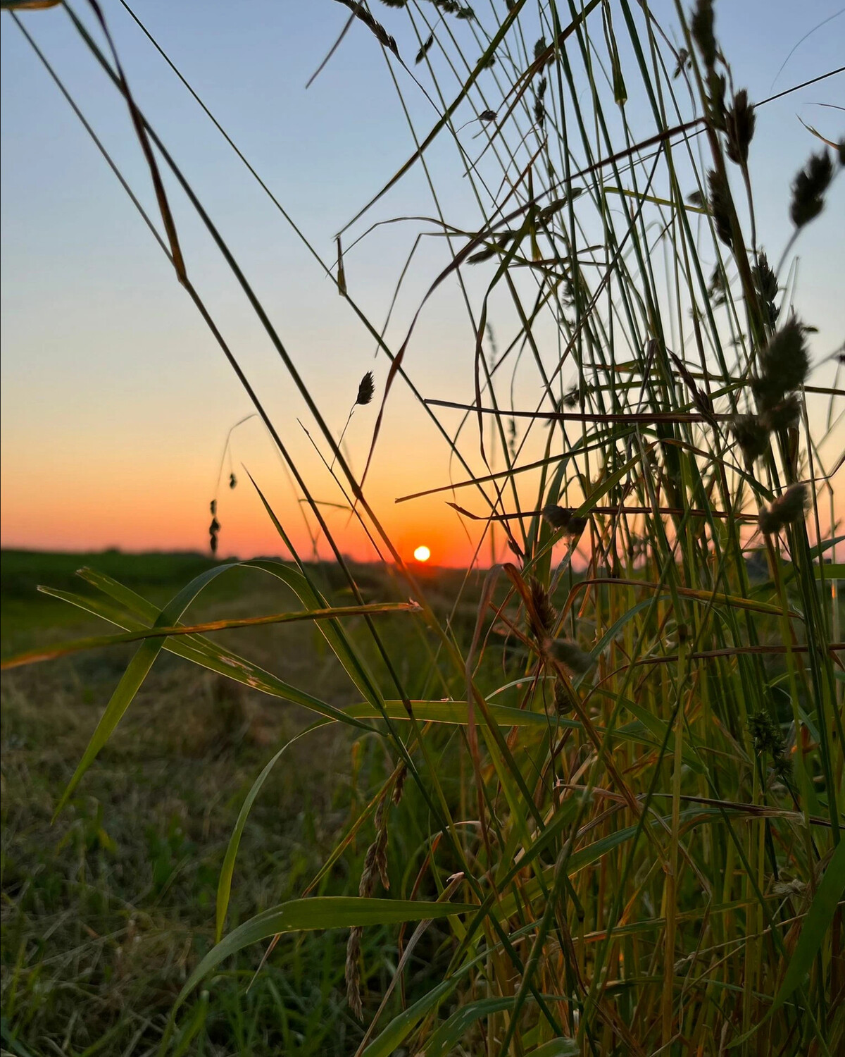 Августовский закат. Законченный закат. Закат окончил теплый вечер. Летний вечер. Теплого летнего вечера.