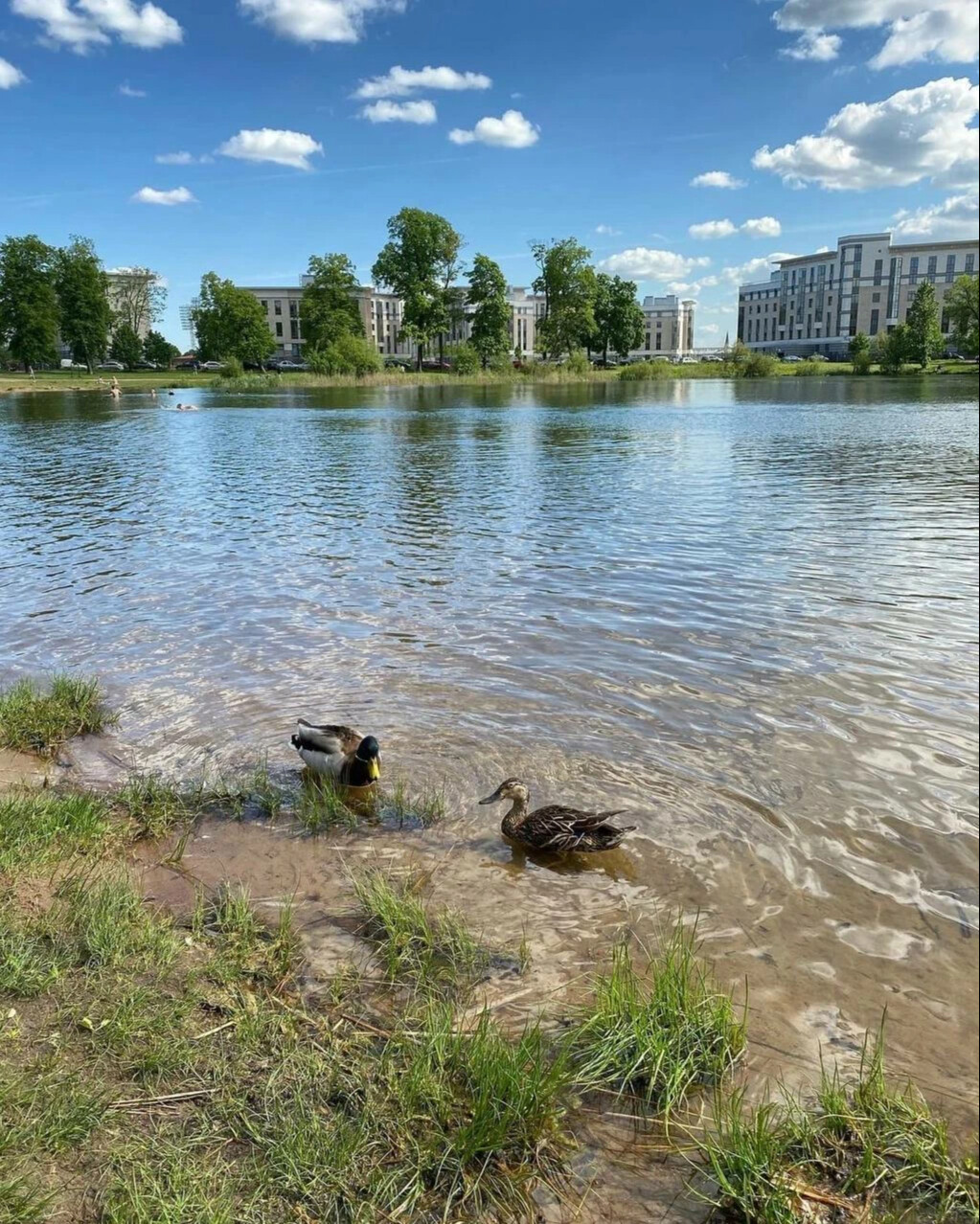 пруды в санкт петербурге