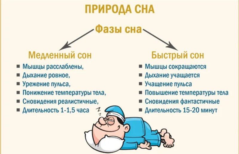 В какой фазе снятся сны. Структура сна фазы медленного и быстрого сна. Быстрая и медленная фаза сна схема. Фазы сна быстрый и медленный сон. Фаза быстрого сна характеризуется.
