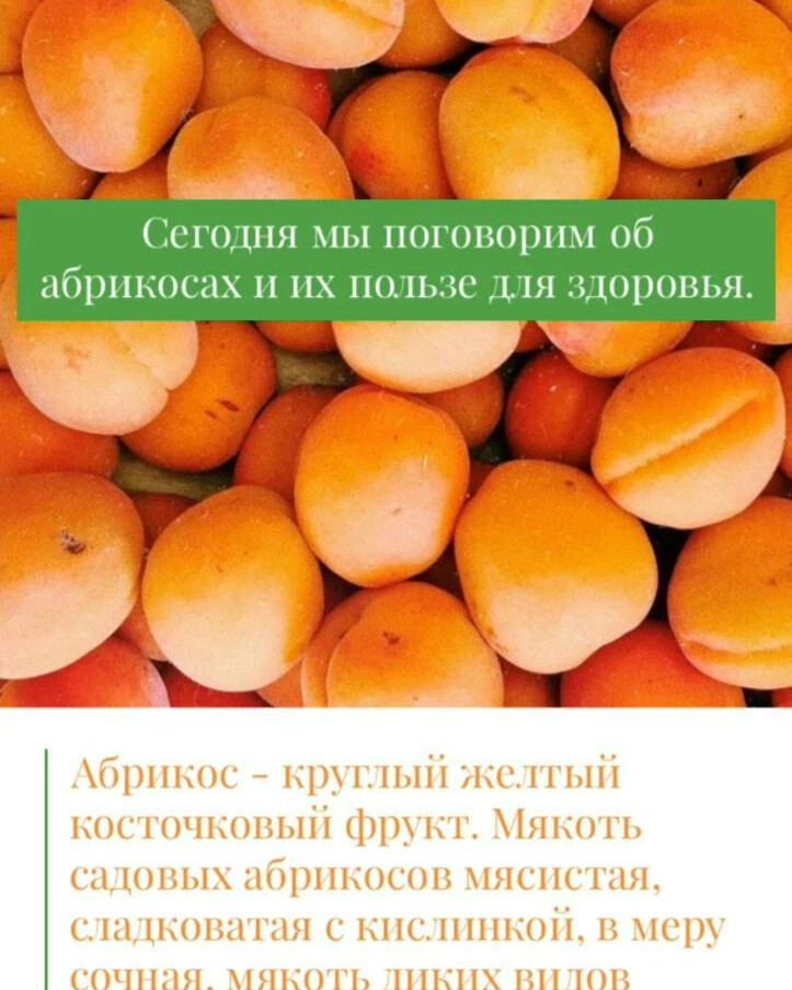 Абрикос польза для здоровья. Абрикос круглый. Чем полезен Урюк для организма. Абрикосы круглые желто розовые. Зеленый абрикос чем полезен для организма.