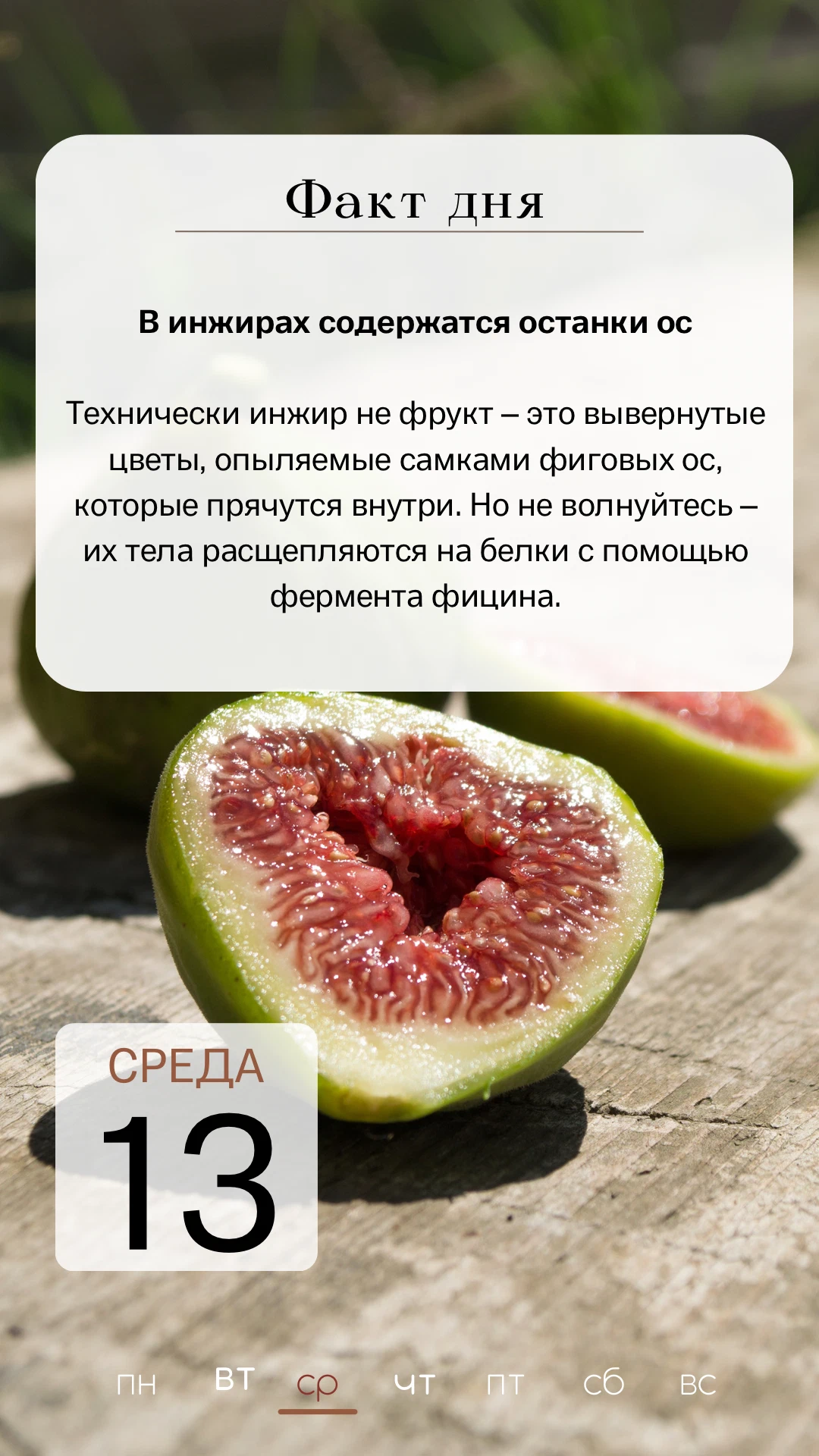 С какого возраста можно давать инжир ребенку