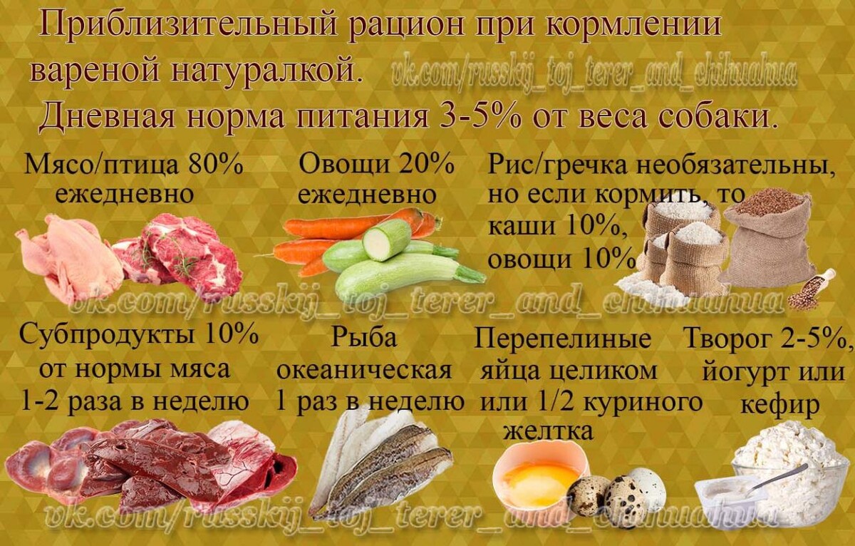 Какую рыбу можно давать щенку. Какую рыбу можно давать щенку