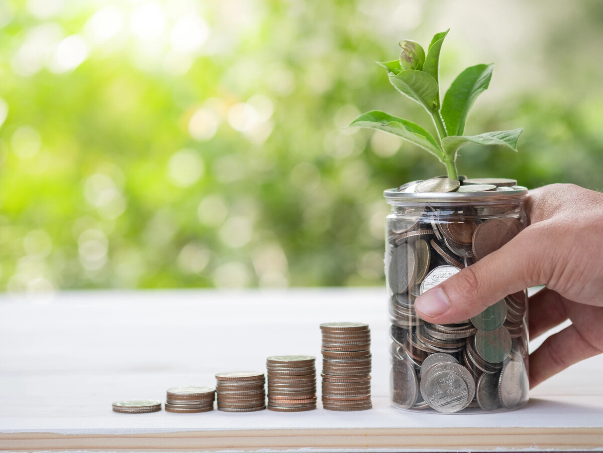 Investment meaning. Long-term investments.
