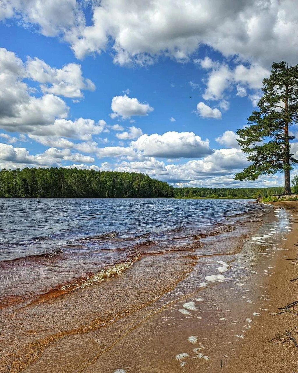 ждановские озера во всеволожске