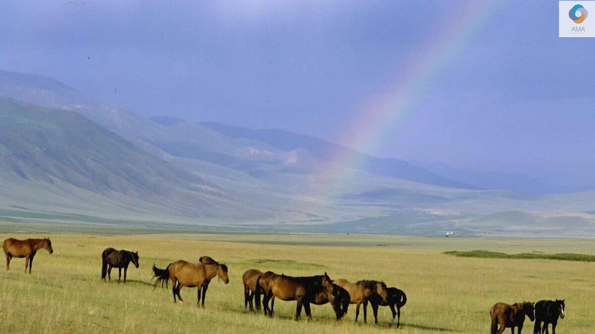 Земля казахстана