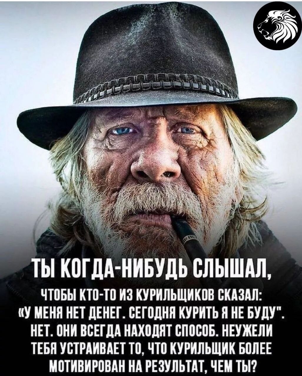 смешные переписки с мошенниками. скажи 900. осторожно мошенники будьте бдительны. цитаты богатых и успешных людей. скажи 900.