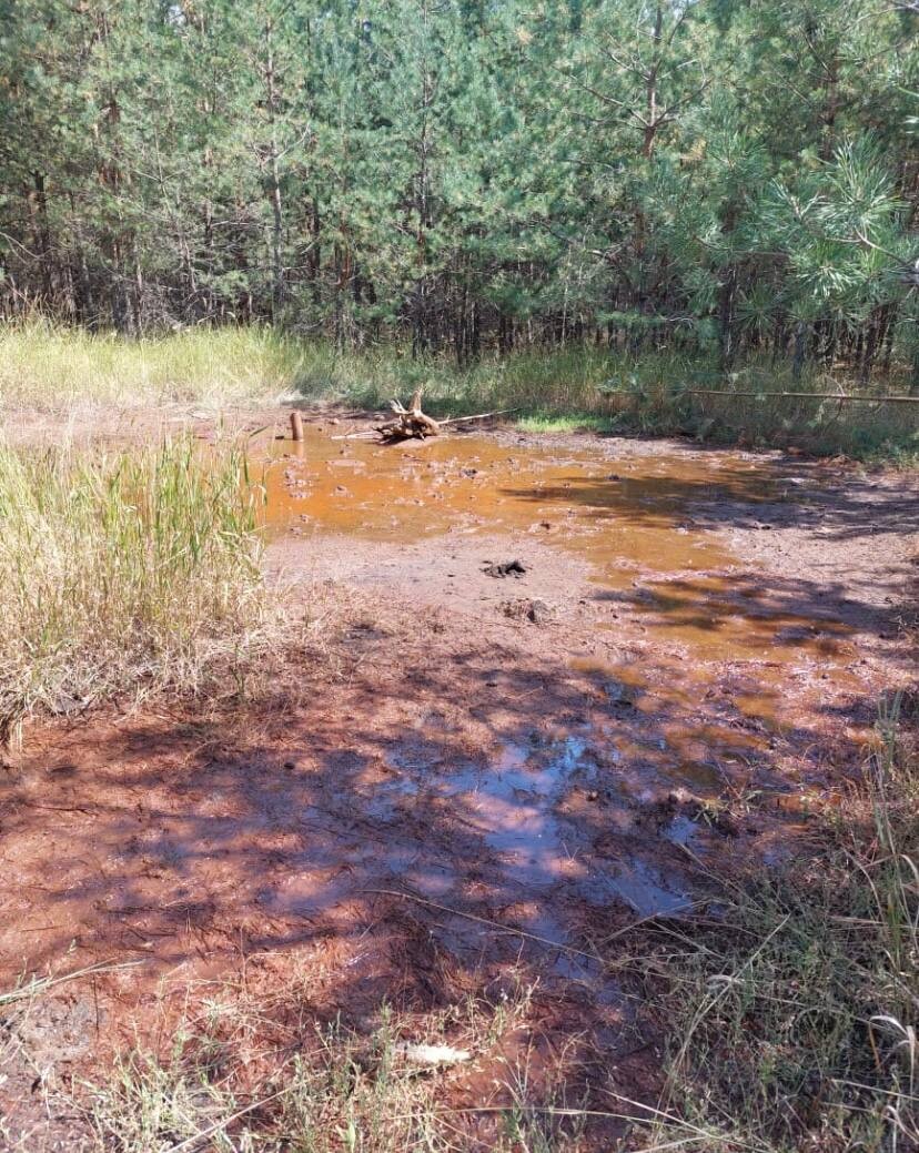 Бурое болото. Загрязнение почвы. Почвенная засуха. Болото Воронежской области.