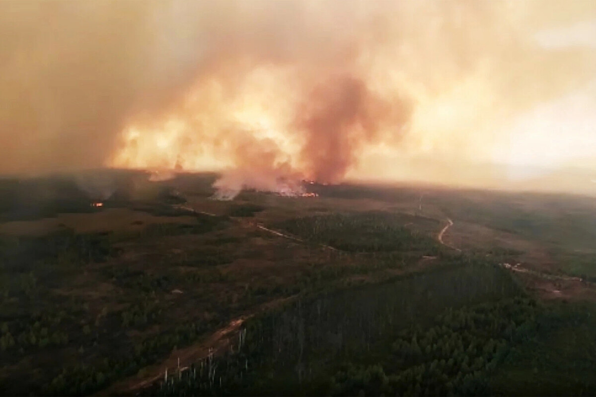 В каких областях пожар. Лесные пожары в Рязанской области в 2022 году. Лесной пожар в России 30 августа 2022 в Рязанской области. Пожар Рязань лес 2022. Лесоторфяные пожары в Рязани.