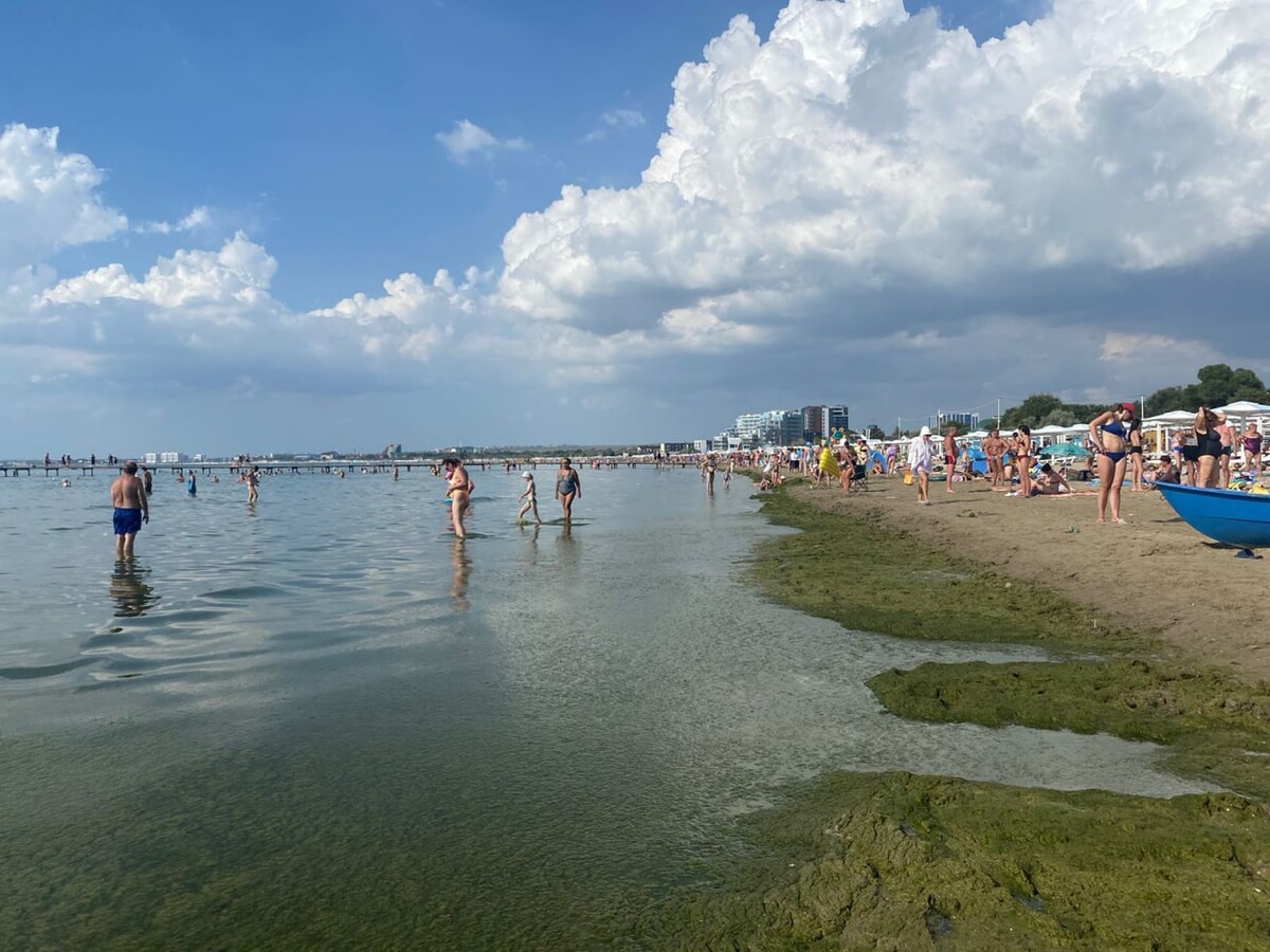 как цветет море в анапе