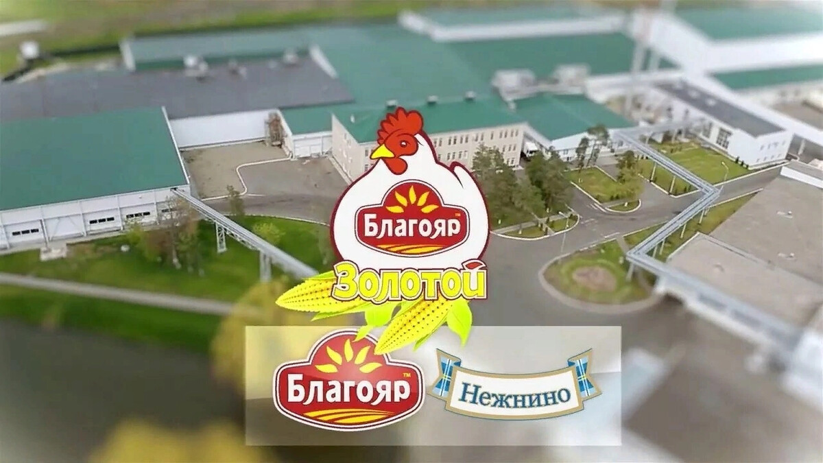 Гап ресурс ставрополь. Группа агропредприятий ресурс Благояр. Невинномысский птицекомбинат. Гап ресурс птицефабрика. Птицефабрика Невинномысск.