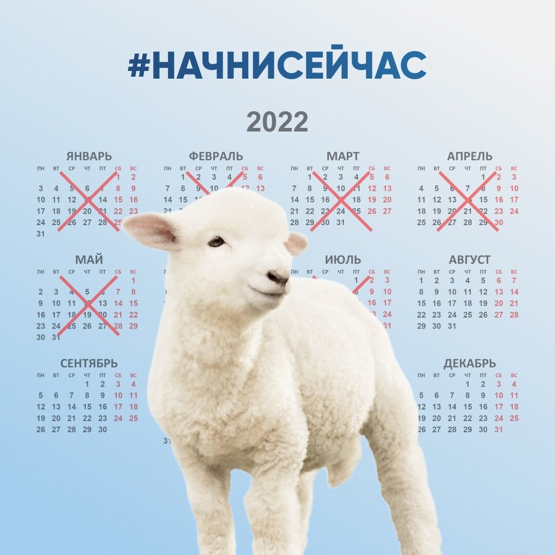 Начинаем 2022