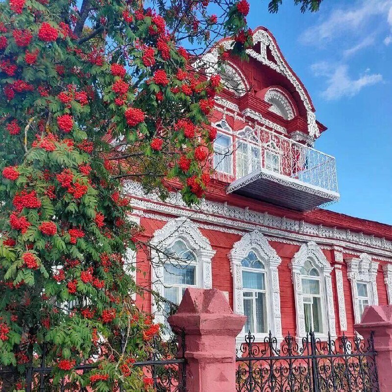 Где находится злынка