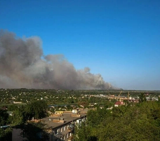 Пожар в каменске шахтинском сейчас. Каменск Шахтинский леса. Пожар в Каменске Шахтинском