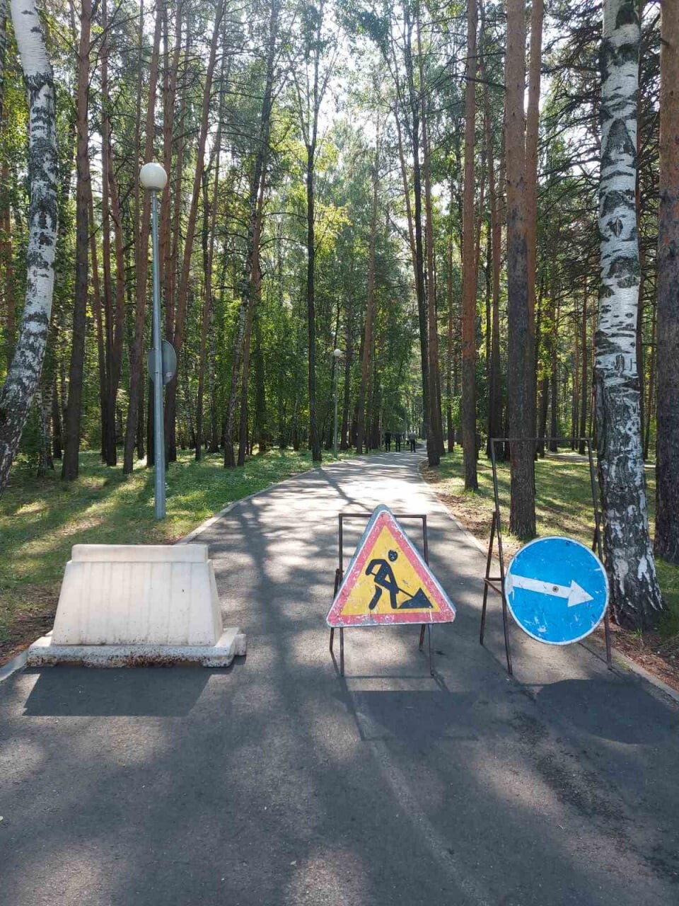 Гилевская роща в тюмени