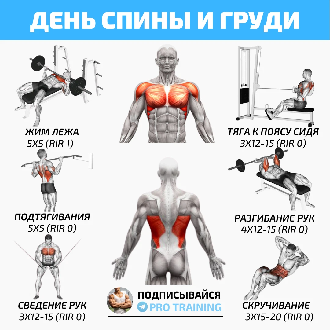 Тренировка спины. План тренировки на спину. Тренировка грудь спина. Упражнения на спину для мужчин.