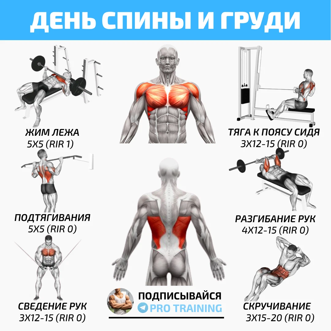 Упражнения на спину в тренажерном. Тренировка грудь спина. Грудь и спина 2 раза в неделю на одной тренировке