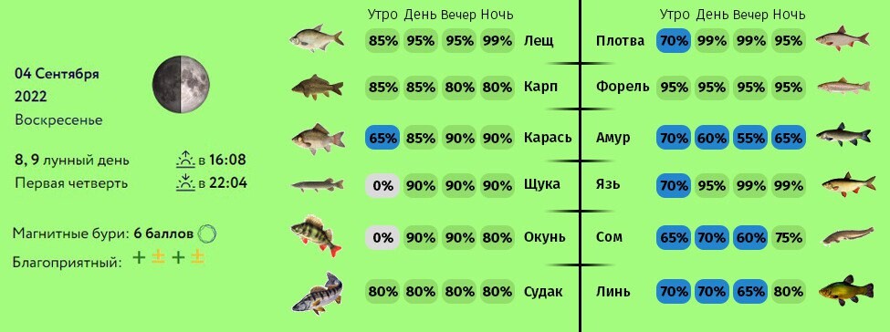 Прогноз клева ставропольский. Календарь клева. Календарь клева сома. Фазы Луны и клев рыбы. Рыболовный лунный календарь.