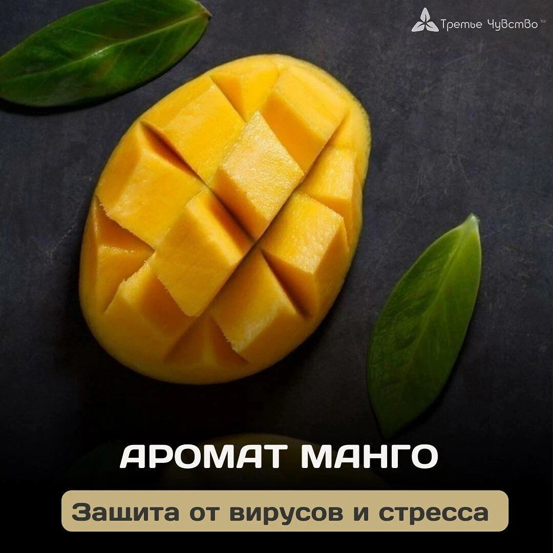 Пост автора «Тот самый аромамаркетинг» в Дзене ✍: А вы знали, что ❓ <b>Запах</b> <b>м...</b>