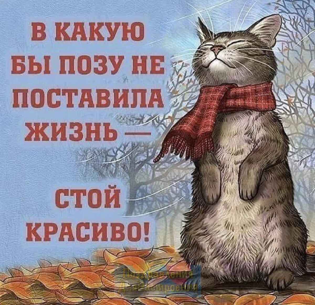 Жизнь ставит