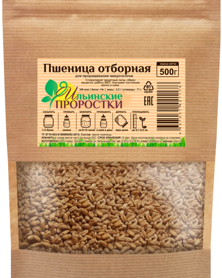 Пшеница для проращивания москва. Пшеница для проращивания. Пшеница для кошек для проращивания. Мицуна семена. Зелёный для поорашиваняг.