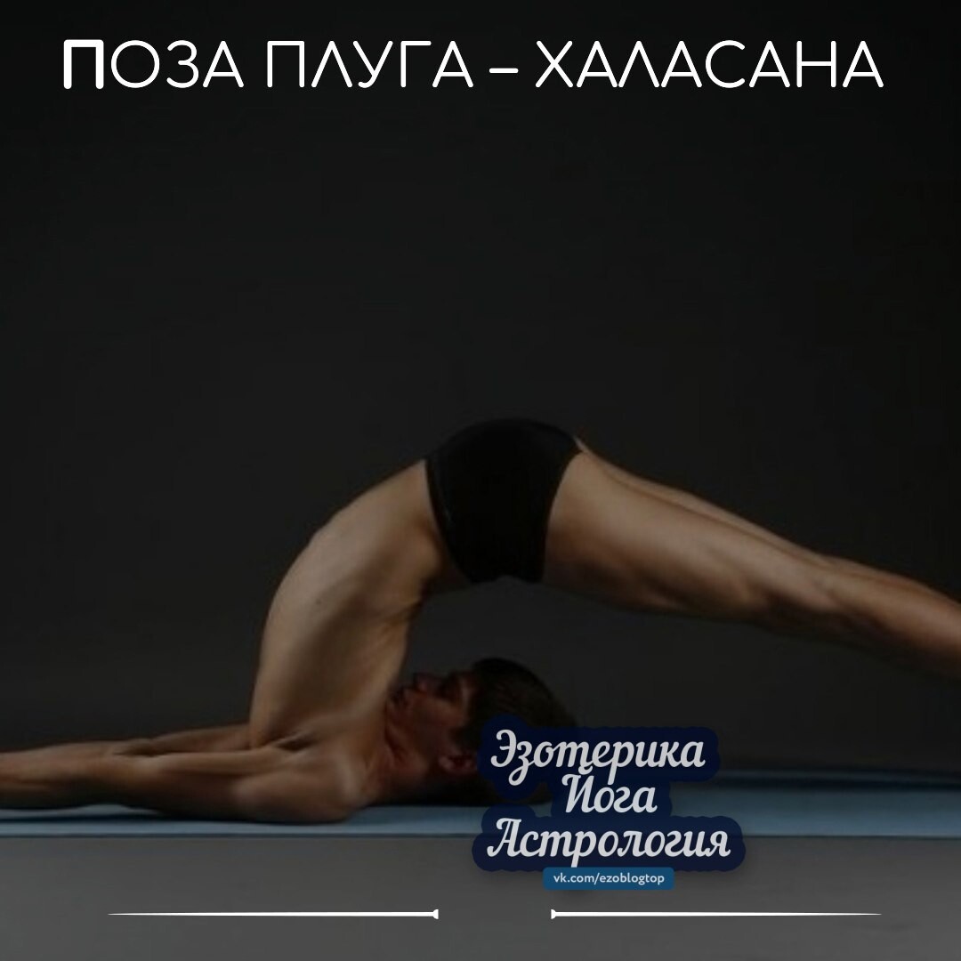 Халасана поза плуга
