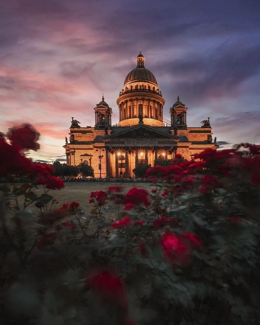 Цветущий петербург фото