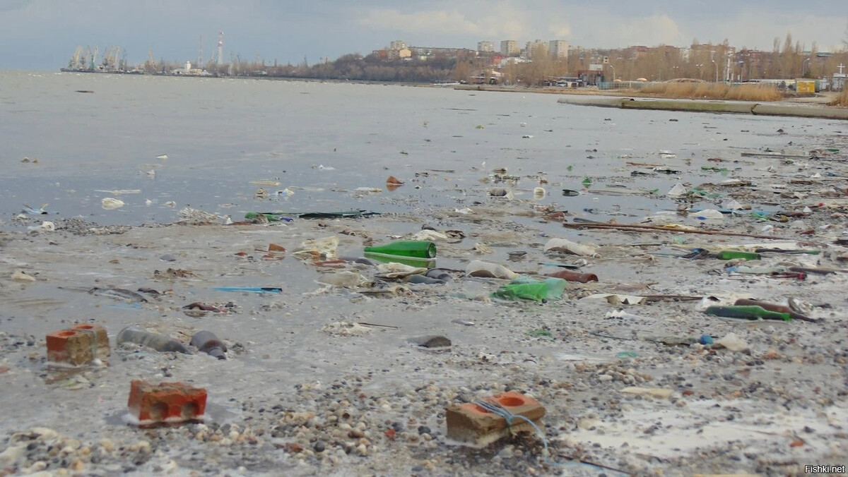 Таганрог загрязнение Азовского моря. Таганрогский залив грязное море. Таганрогский залив грязная вода. Грязный городской пляж. Почему в таганроге нет воды