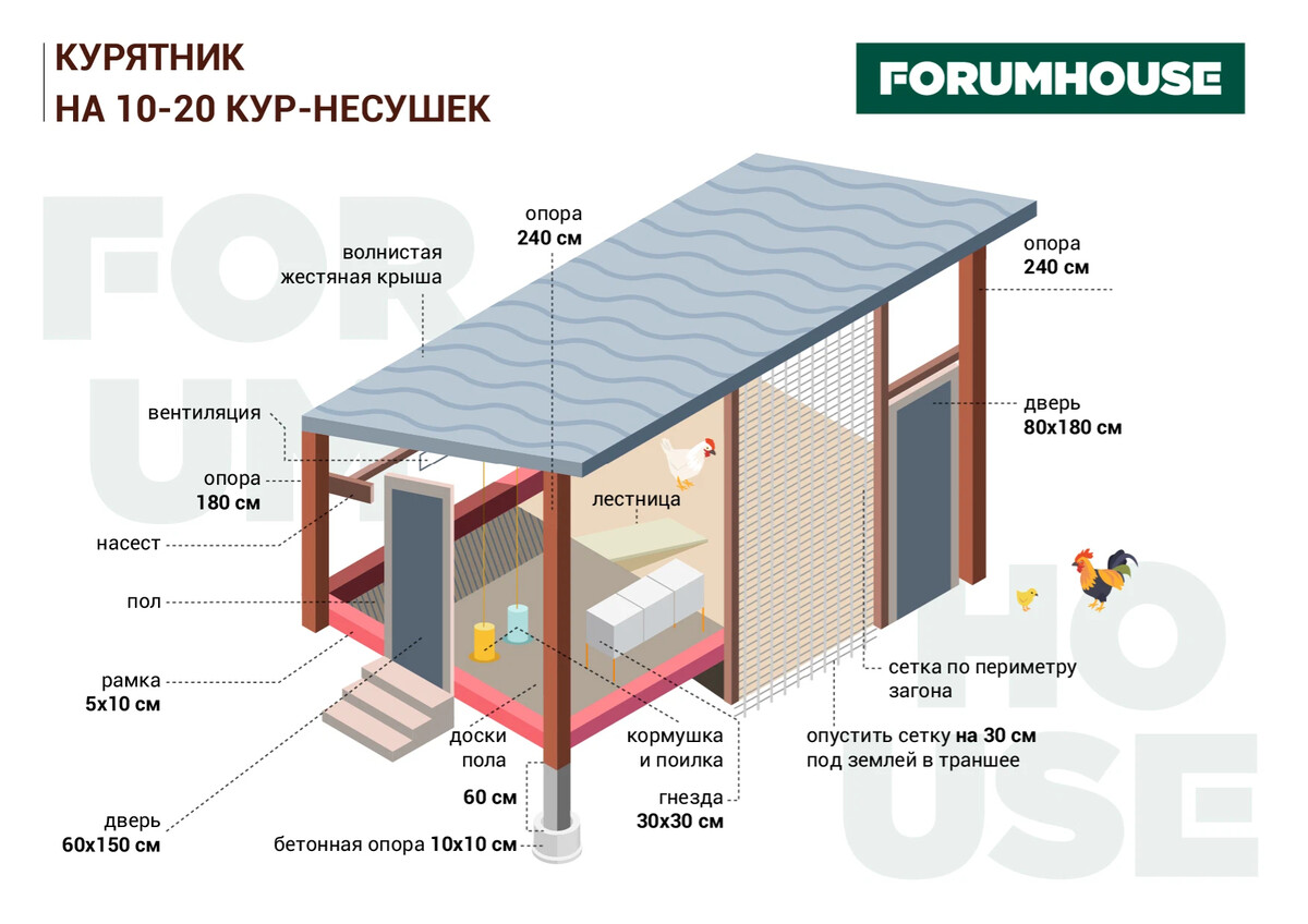 Размеры курятника на 5 кур несушек чертежи