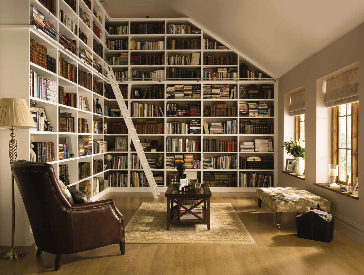 Книжные стеллажи картинки