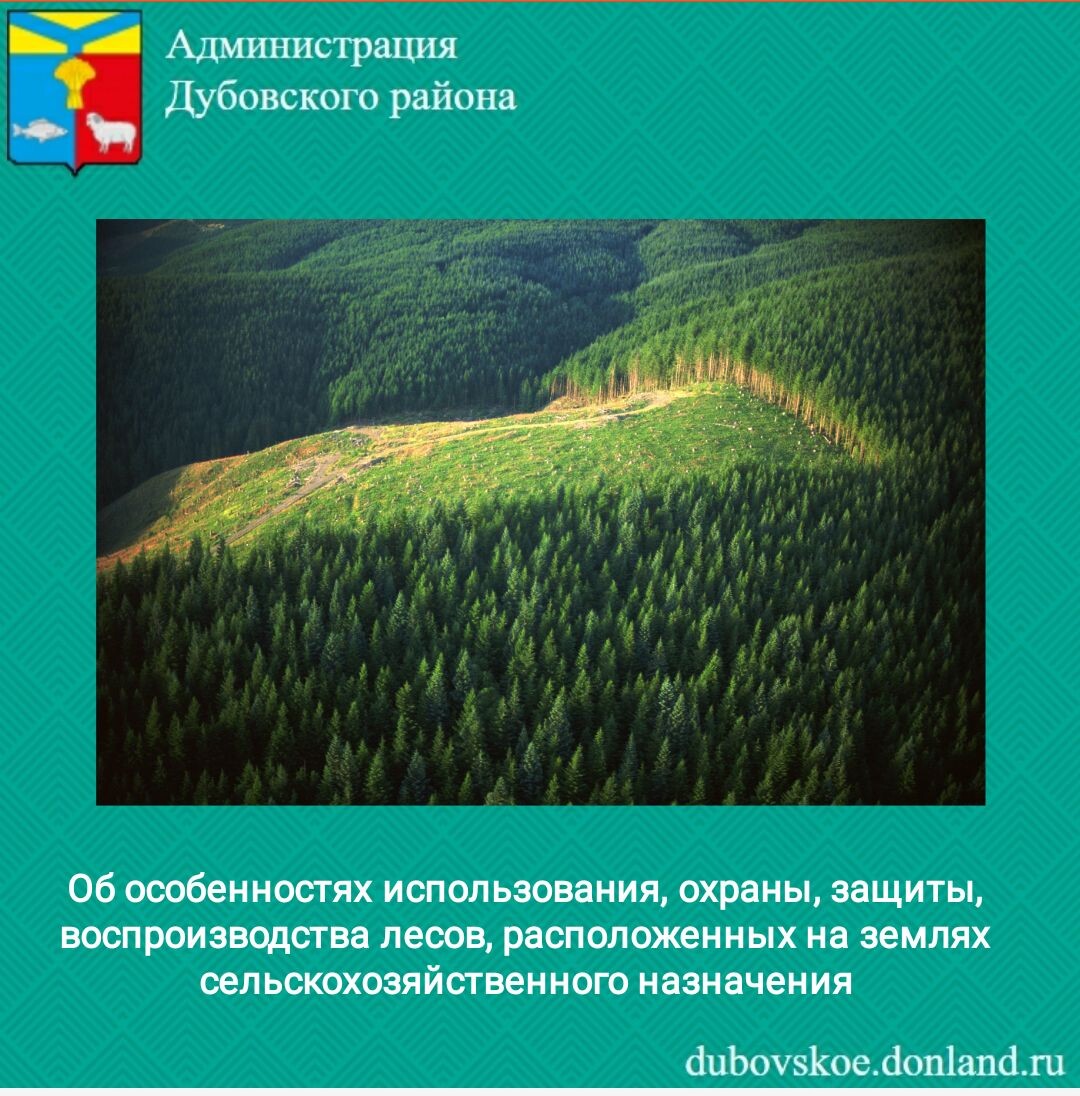 Особенности воспроизводства лесов. Воспроизводство, защита и использование лесов.