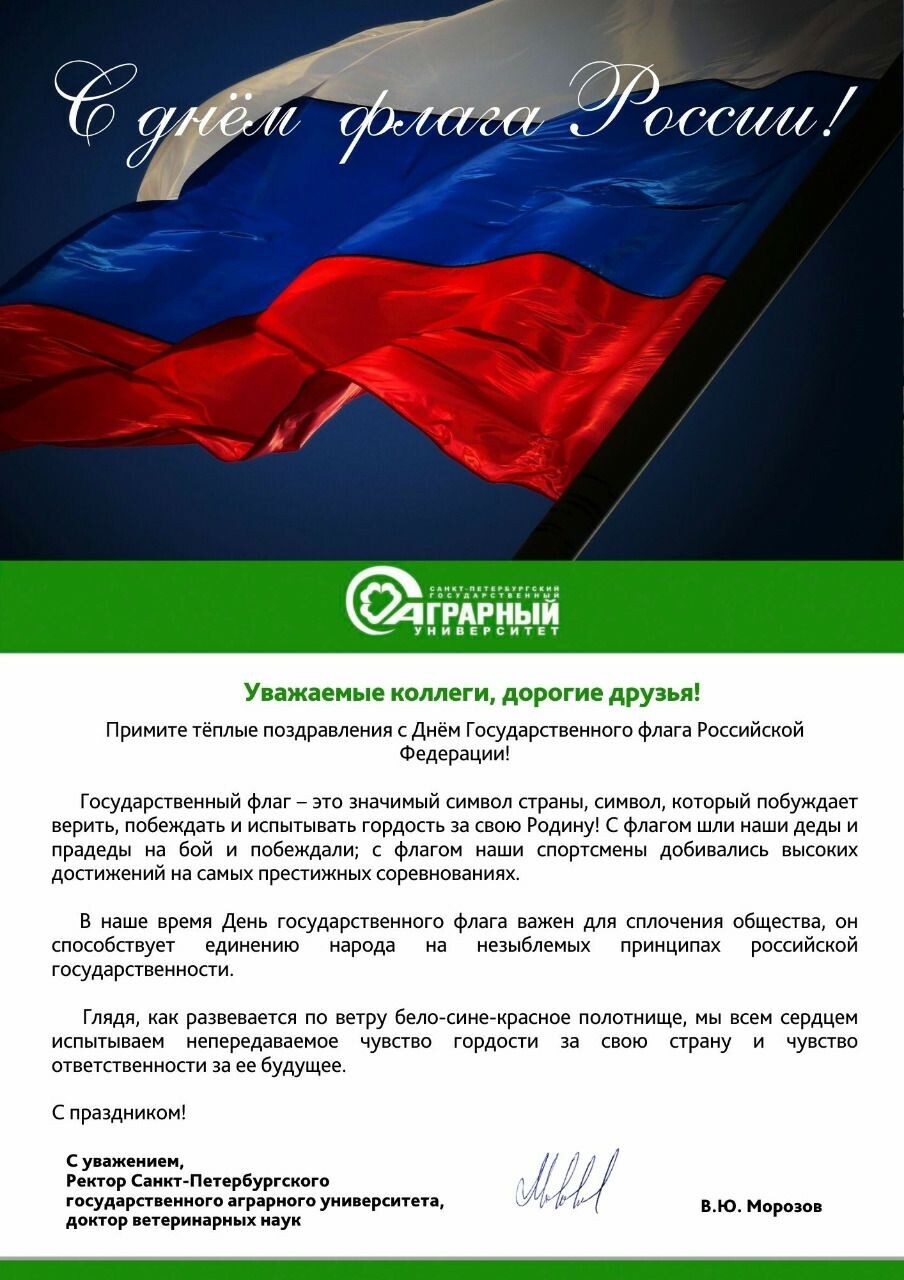 Поздравление с днем конституции. Глава поздравил с днем флага. Глава поздравил с днем флага. Глава поздравил с днем флага. Глава поздравил с днем флага.