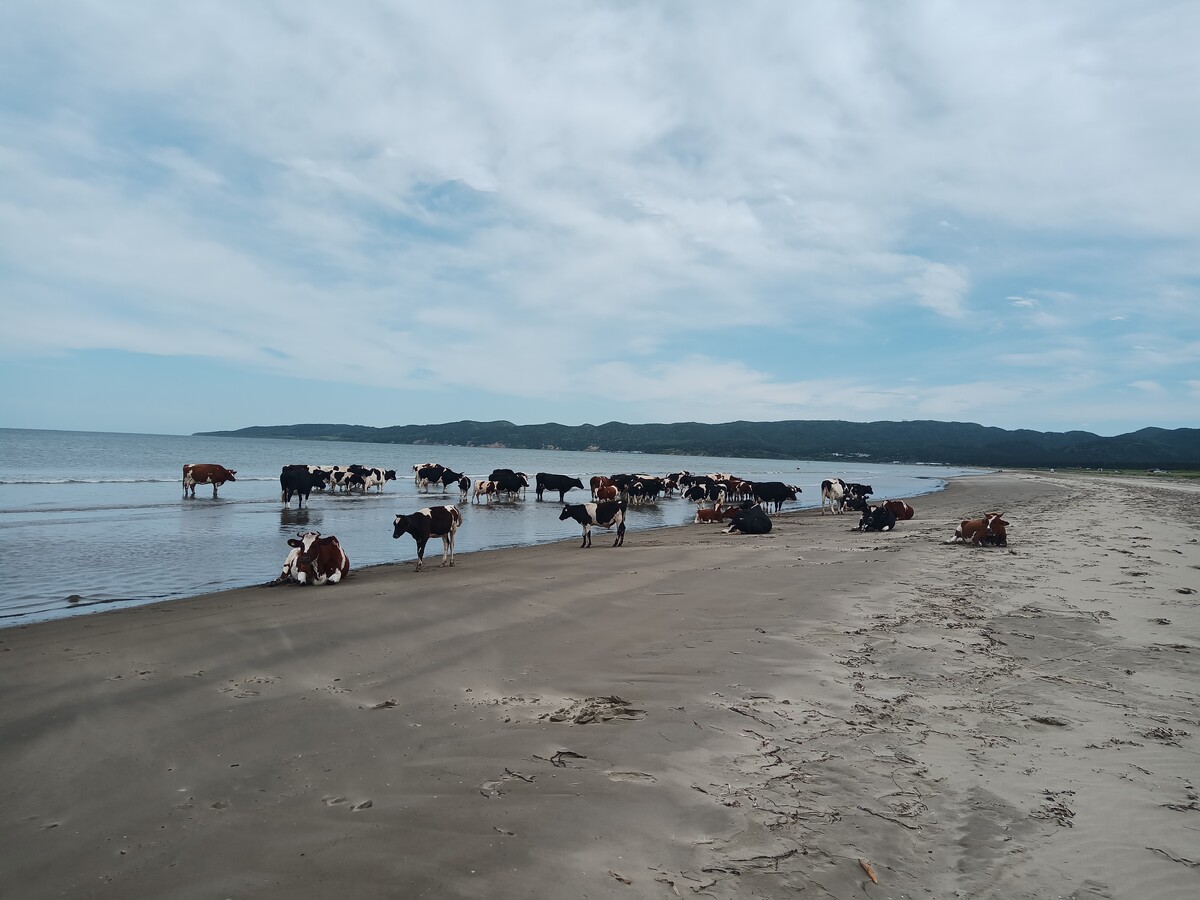 Борис рябченков. Борис рябченков сахалин. Рябченков сахалин последние видео. Борис рябченков сахалин. Борис рябченков сахалин профессия.