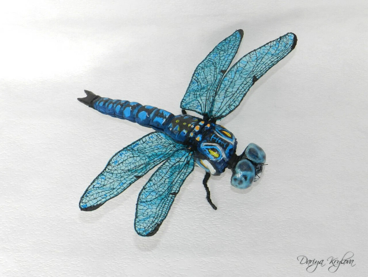 Dark project dragonfly. Dragonfly космический аппарат. Dark project dragonfly. Dragonfly and google. Dragonfly bsd.